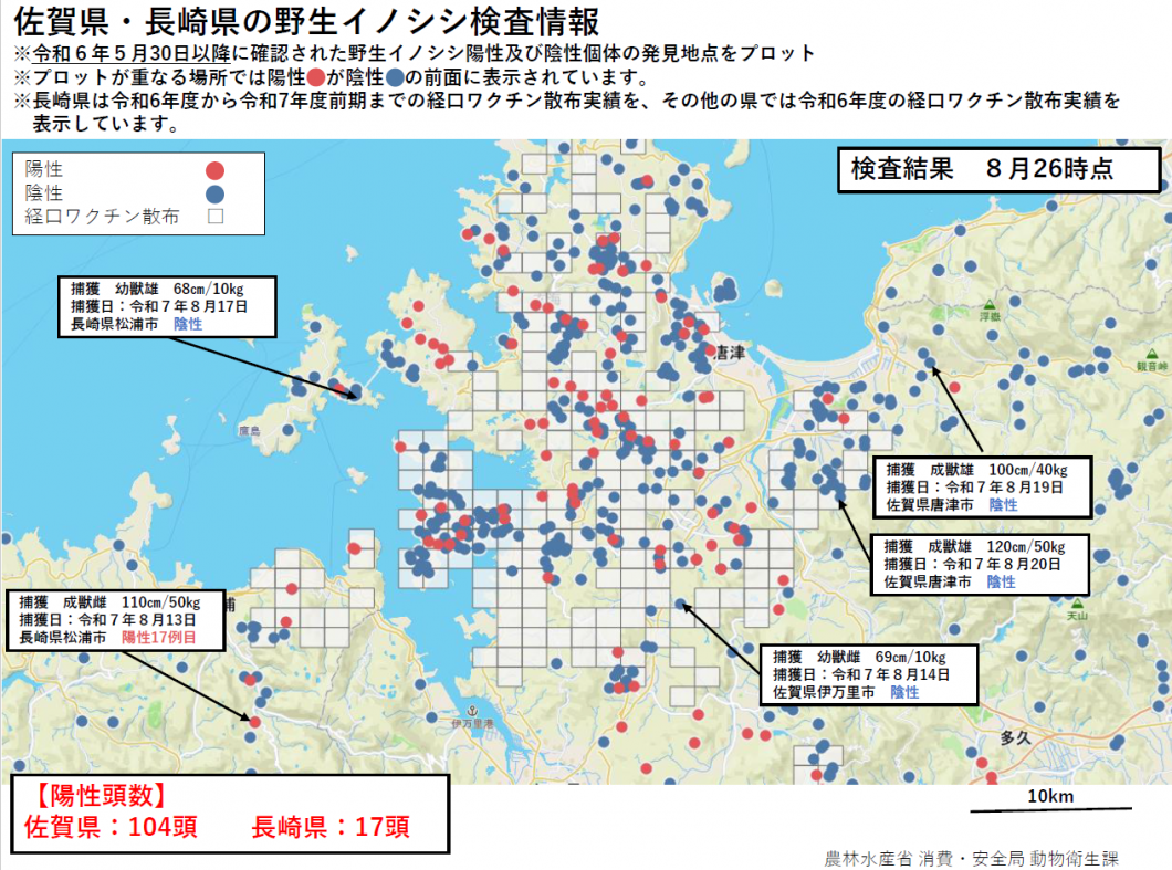 20250827野生イノシシ検査情報