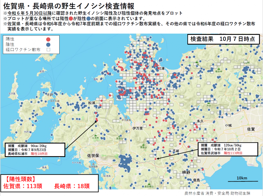 20251007野生イノシシ検査情報