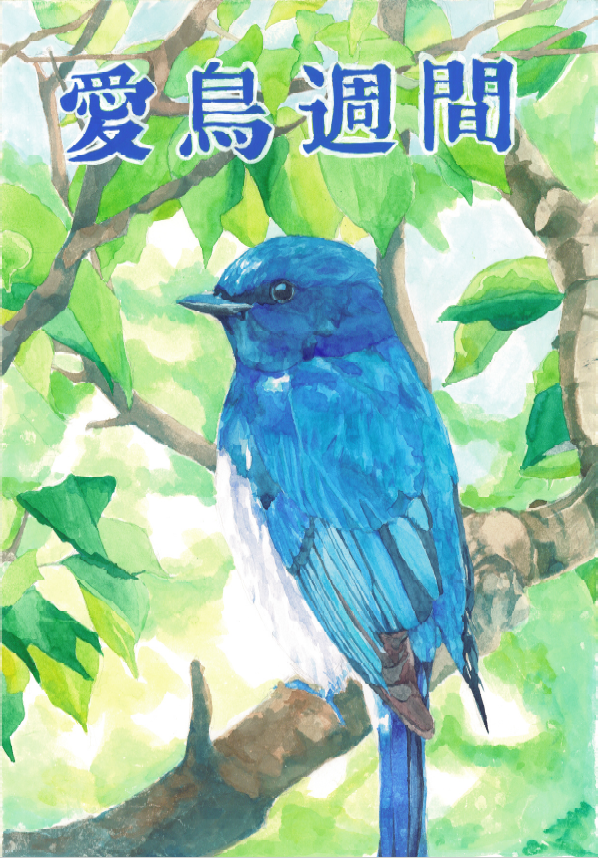 優良賞 中学校の部 伊藤愛理