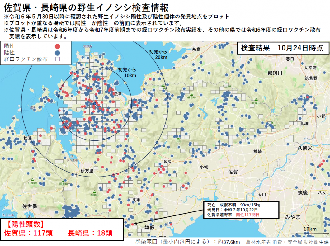 20251024野生イノシシ検査情報