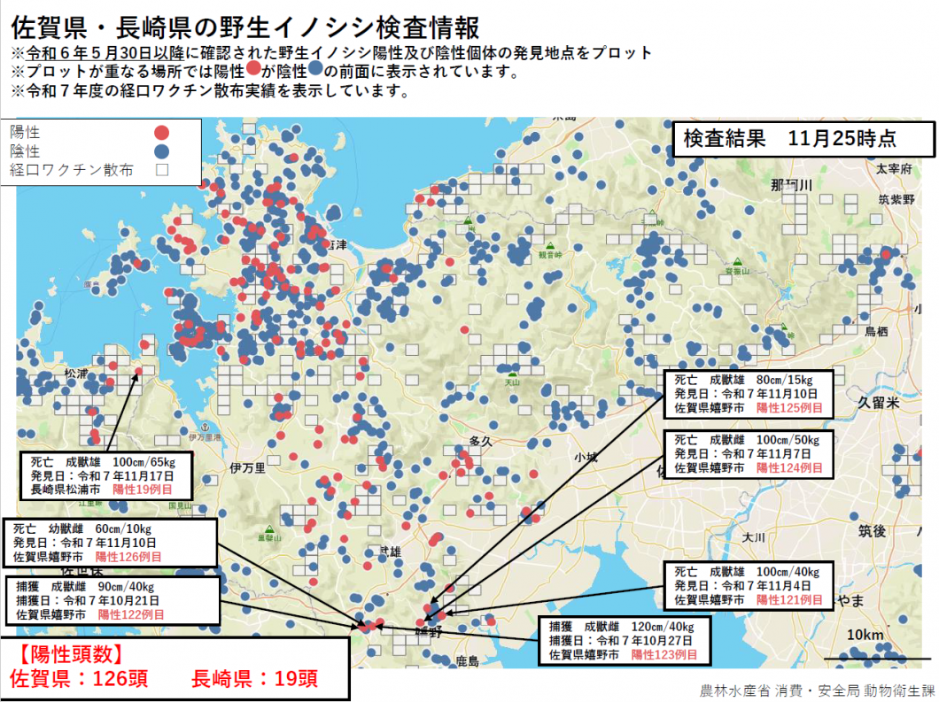 20251125野生イノシシ検査情報