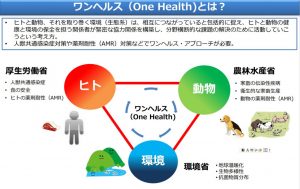ワンヘルス（One Health）とは？
