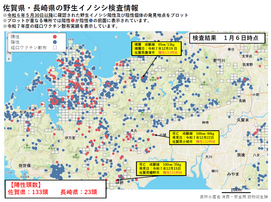 20260106野生イノシシ検査情報