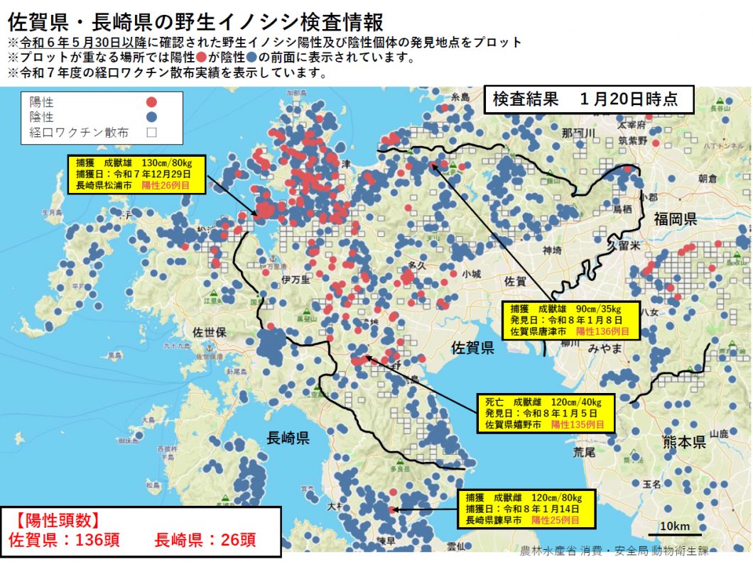 20260120野生イノシシ検査情報