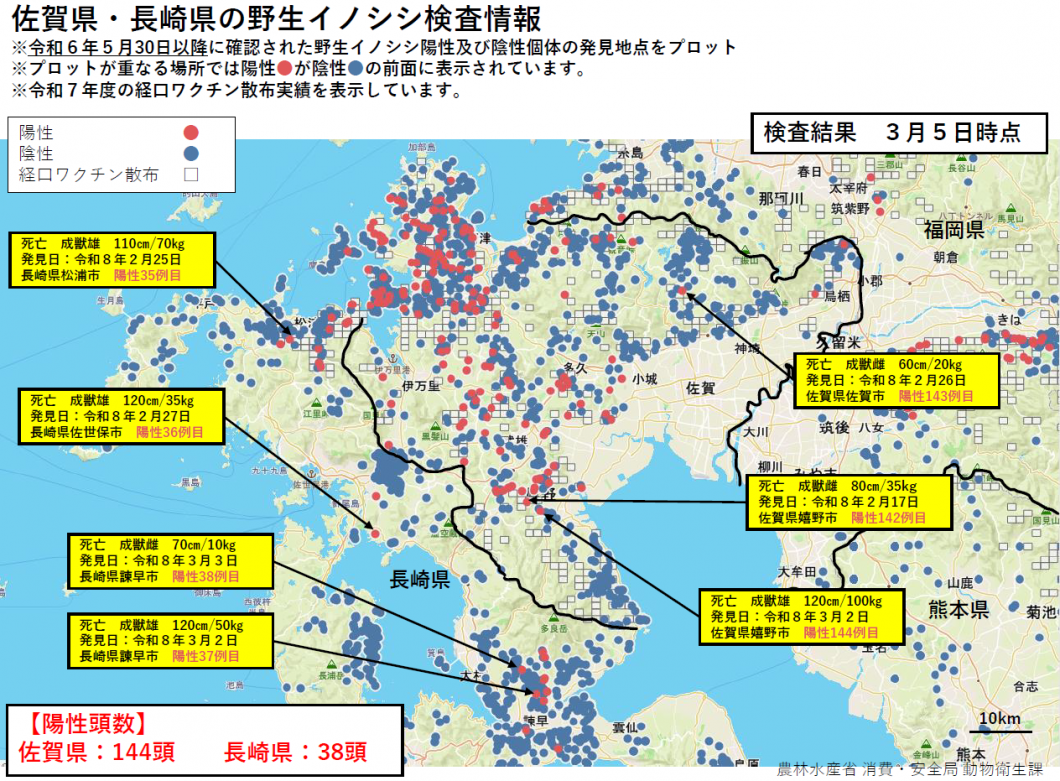 20260305野生イノシシ検査情報
