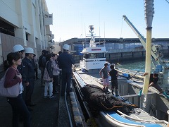 松浦魚市場見学の様子４