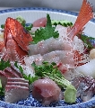 長崎刺盛