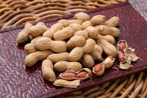 おぢか島の落花生