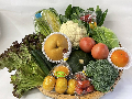 旬の野菜