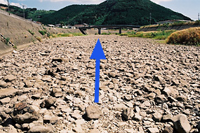 平成6年8月22日 倉本橋