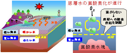 貧酸素水塊が発生するしくみ