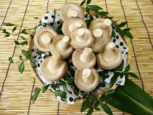 菌床生しいたけ