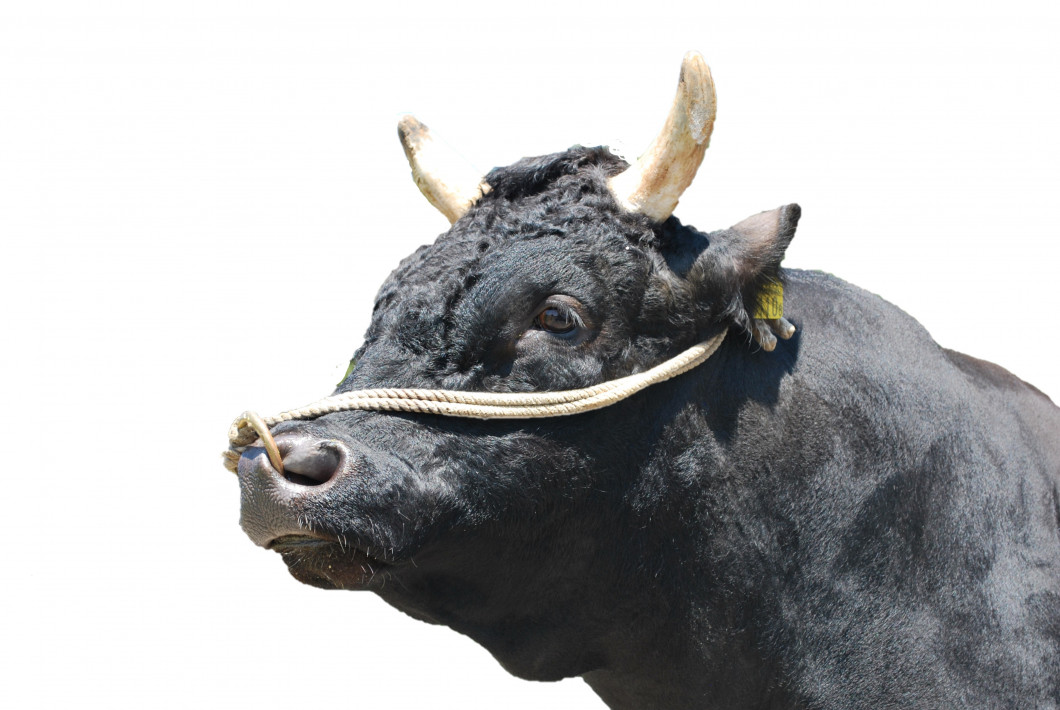 プロフィール画像(勝乃幸)加工