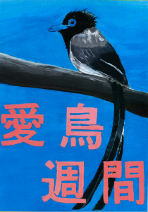 佳作_長崎県立上五島高等学校_立花颯汰