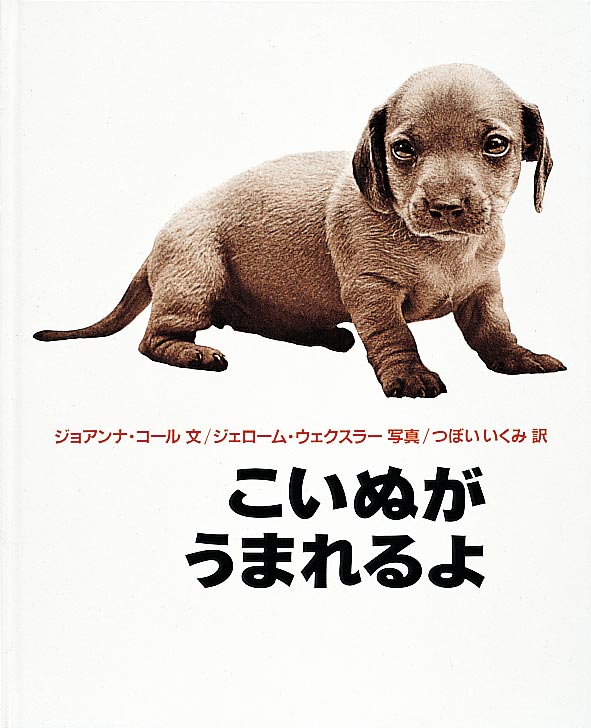 こいぬがうまれるよ表紙