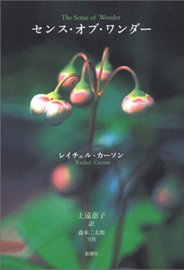 センス・オブ・ワンダー表紙