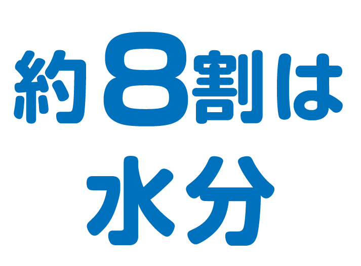 01-約8割は水分