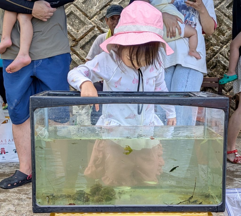 PXL_20250726_010202954.MP