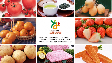 長崎県ブランド農産加工品認証制度『長崎四季畑』ーワタシの知らない美味しい季節は、フルサトにありました