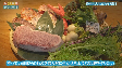 【手話・字幕版】長崎の「食」の魅力を発信！(2023年3月1日放送)