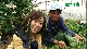 新着情報！2ch「素晴らしきグリーン・ツーリズム」(8月8日放送)
