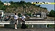 新着情報！2ch「いざという時に備えて」(6月24日放送)
