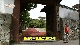 新着情報！2ch「離島留学で夢をつかもう!」(7月1日放送)